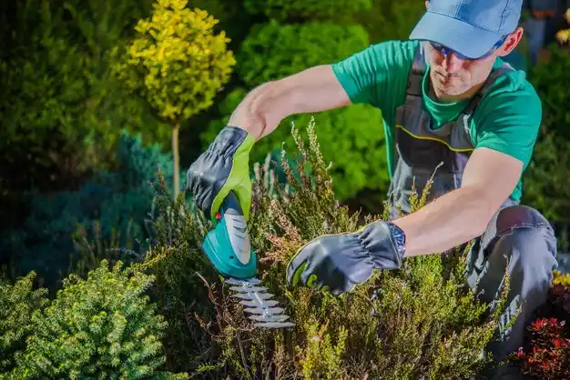 landscaping services Goshen